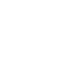 Ícone Destaque
