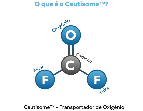 Imagem Destaque